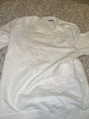 Vit sweatshirt från Fruit of the Loom - Klassisk vit sweatshirt från Fruit of the Loom i storlek S. Tröjan har rund halsringning, långa ärmar och ribbade muddar vid ärmslut och nederkant. Perfekt basplagg som funkar till allt och är superenkel att styla.