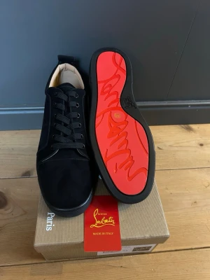 Christian Louboutin  - Svarta Christian Louboutin i storlek 44. Aldrig använda. Bara att höra av sig vid funderingar 🤩🤩