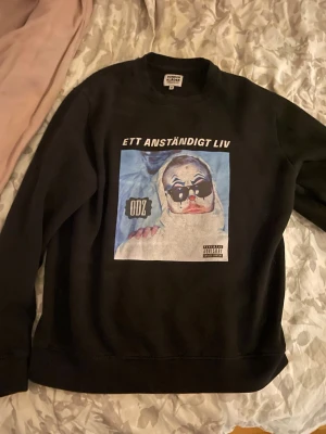 Svart sweatshirt ODZ Dunder Kläder - Svart sweatshirt från Dunder Kläder med tryck på bröstet: 'ETT ANSTÄNDIGT LIV' och motiv av en clown med solglasögon samt ODZ-logga. Rund halsringning och mjukt material, perfekt för en avslappnad streetwear-look.