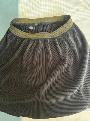 Plisserad svart kjol Petit Sofie Schnoor - Plisserad svart kjol från Petit Sofie Schnoor med elastisk midja i guld och svarta detaljer. Kjolen har en mjuk struktur och är perfekt för dig som gillar en stilren men ändå cool look.