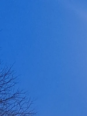 Fri frakt  - Fri frakt