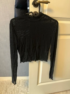 Glittrig mesh topp - Svart glittrig mesh (genomskinlig) topp i strl XS/S. Aldrig använd, i nyskick! Passar perfekt till festliga evenemang! 