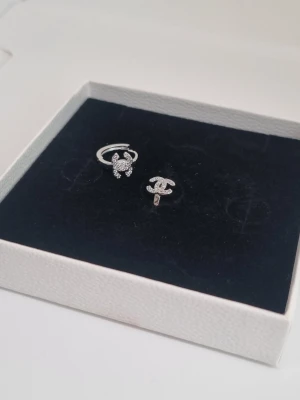 Cc örhängen  - Örhängen, lådan ingår ej.