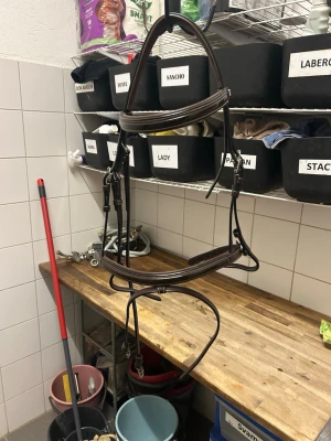 Brunt träns från Equipe - Säljer ett brunt träns från Equipe med lack detaljer. Super fint! Säljs då det inte passade min ponny. Endast använt 2-3 gånger. Nypris 2660:-