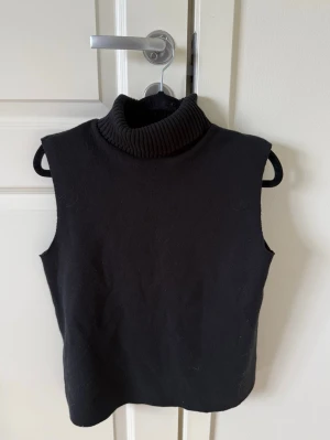 Svart stickad - Svart stickad kortärmad med hög polokrage från Zara.