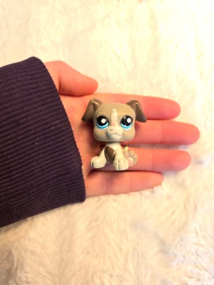Littlest pet shop - Littlest pet shop hund i mycket fint skick. Följ gärna för att se mina andra annonser för bundle😊
