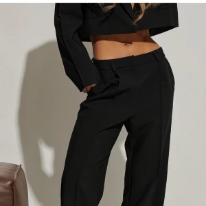 Hanna schönberg kostymbyxor  - Kostymbyxor från Hanna schönberg x NAKD i storlek 36. Byxorna är i mkt fint skick, det enda är att jag har sprätt upp uppvikningen nertill så dom är hellånga