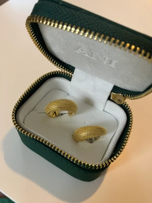 Ani - Helt oanvända örhängen från Ani. Nypriset är 1100 jag säljer för 500. 