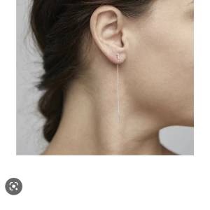 Pilgrim örhängen - Säljer dessa örhängen ifrån pilgrim. Inte använda🩷kolla första bilden, sånna fast med en plupp istället för tre