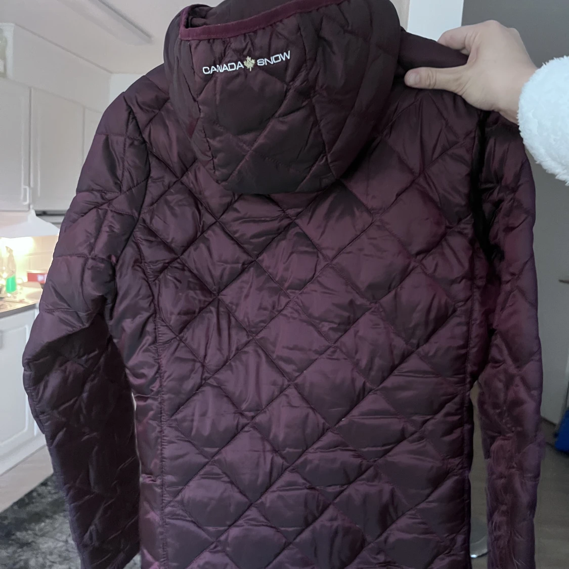 Damjacka, Canada snow  - 91