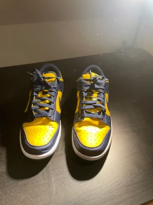 Nike dunk low  - Kommer du ej till användning är i bra sick vet ej om dom ät äkta där av priset, skriv för fler bilder/frågor 