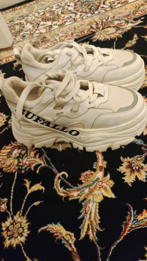 Chose  - It's New never use 