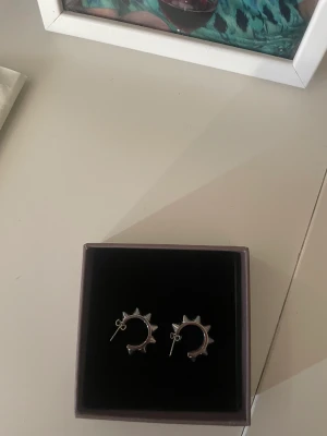 Edblad örhängen  - Silvriga örhängen från Edblad 200+frakt 