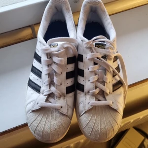 Skor  - Fattas skosula ser på bilden 