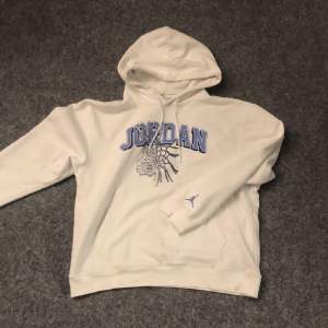Skit snygg och bekväm exklusive Jordan hoodie, köpt från Nikes hemsida. HELT FELFRI💸