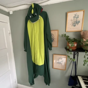 Drake - kigurumi  - Supersöt kigurumi / One Piece i formen av en drake säljs pga brist på användning. Nästan helt ny i skicket !   Storleken passar de flesta då den ska vara oversize. Den är fantastiskt mysig och i ett varmt och gosigt material.   OBS: Katter finns i huset