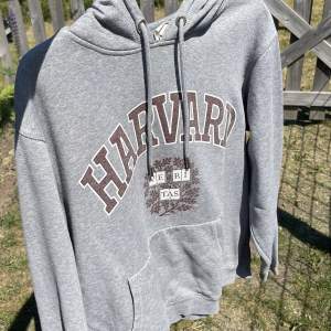 ⚠️Smutsig spegel⚠️ En Harvard hoodie från HM. Inte min så vet inte hur mycket den använts men inga tecken på användning finns. 