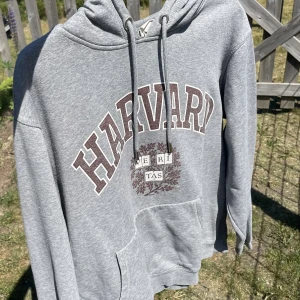 Hoodie - ⚠️Smutsig spegel⚠️ En Harvard hoodie från HM. Inte min så vet inte hur mycket den använts men inga tecken på användning finns. 