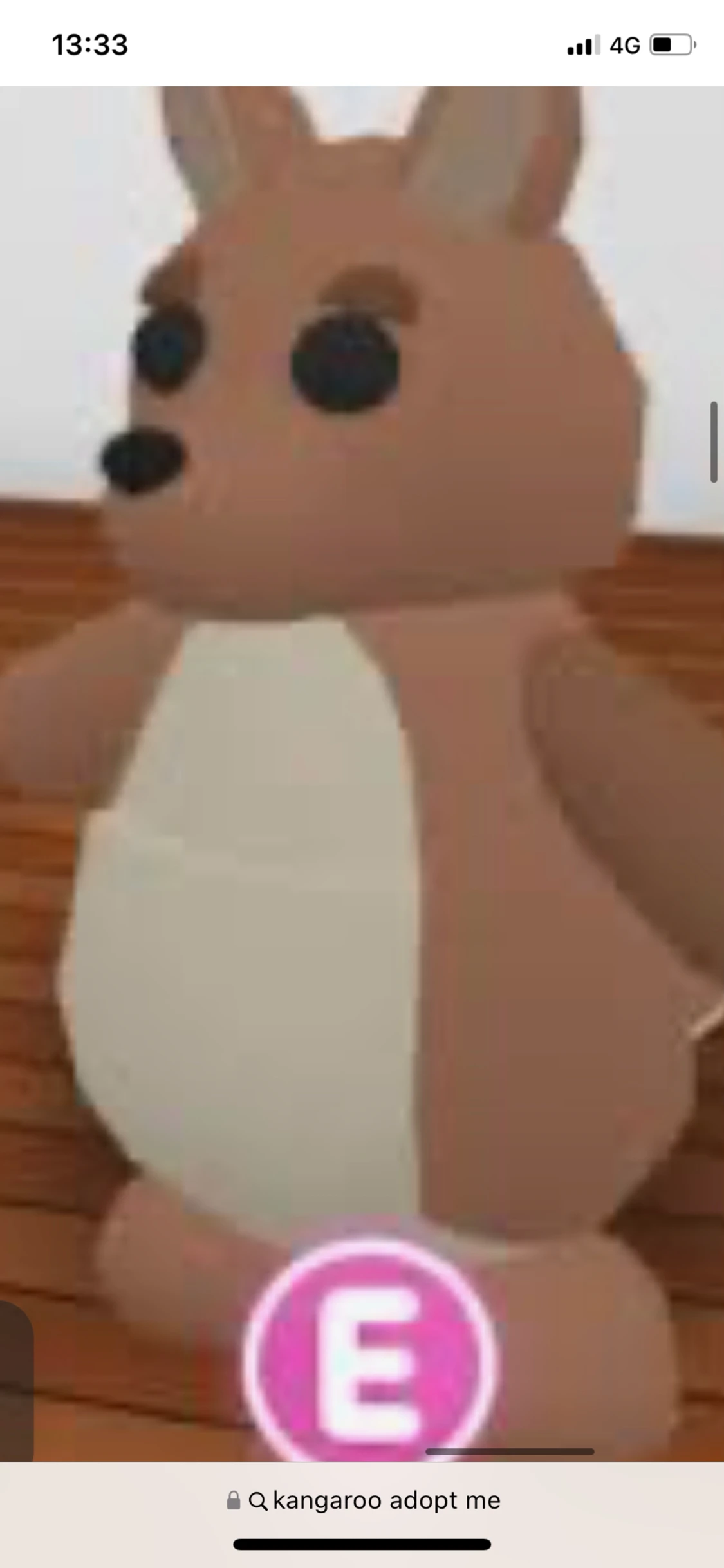 FR FULL GROW KANGAROO - 90