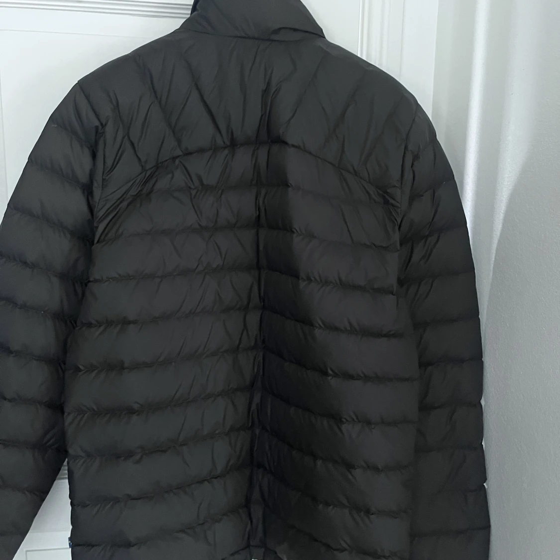 Dunjacka fjällräven - 91