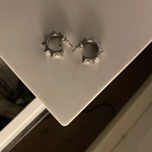 Edblad örhängen - Bra skick  Har ej boxen