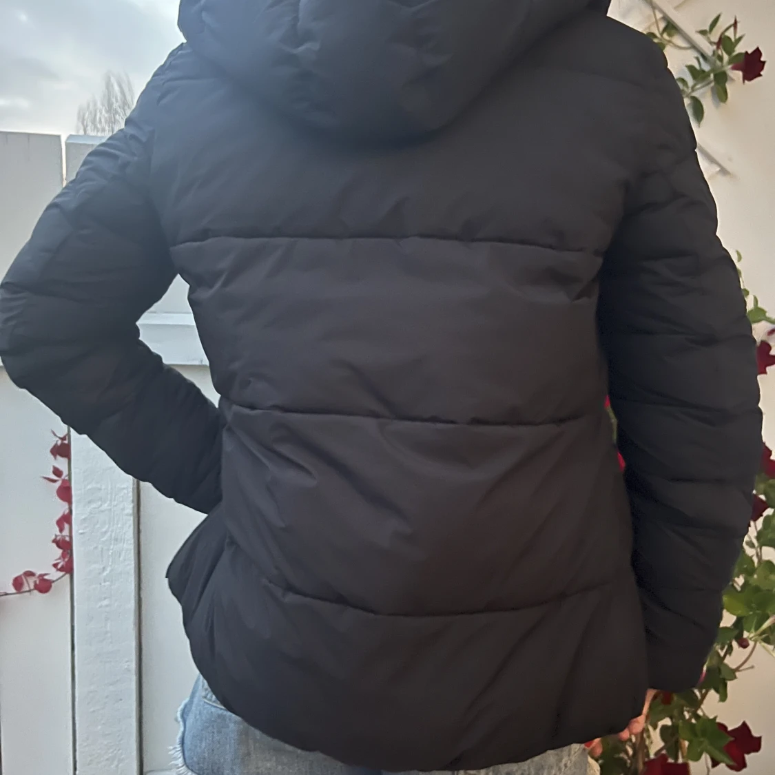 Champions League Jacka - 91