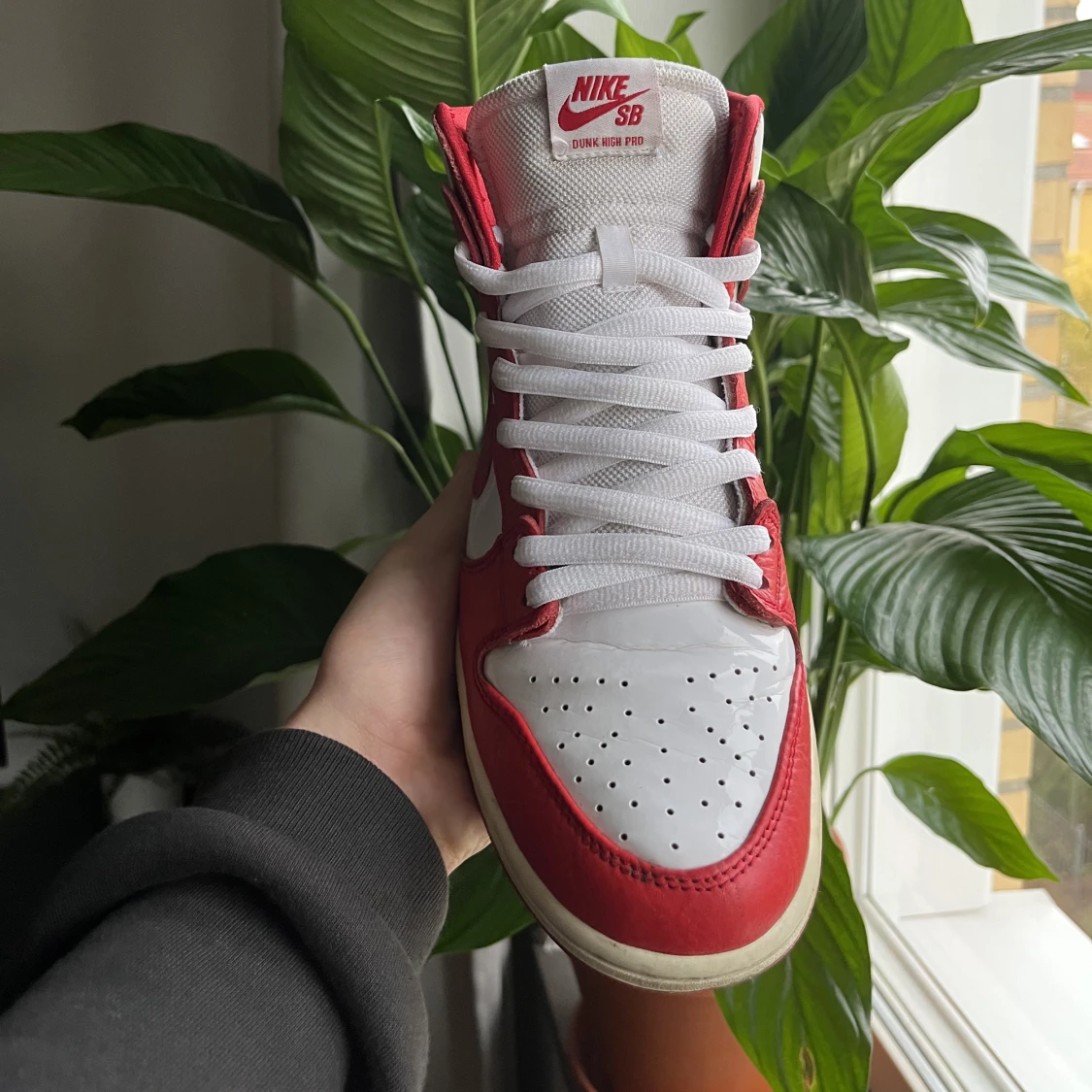 Nike Sb Dunk High - 91