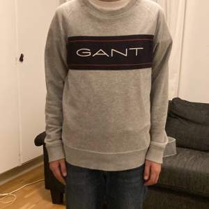 Fin Gant sweatshirt 