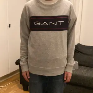 Fin Gant sweatshirt 