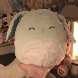 Squishmallows  - Inga fel  Påsk Squishmallows 
