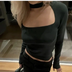 Zara topp - (Lånad bild) säljer min mossgröna choker topp ifrån zara då jag inte längre använder den. storlek M (passar även S)💕💕