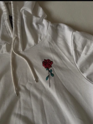 Basic hoodie  - Använd några gånger 