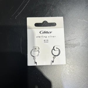 örhängen  - nypris 199kr mitt pris 110kr