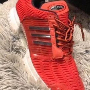 ADIDAS *CLIMACOOL 1* (BA8581) 'TRIPLE RED' MAN 2016 STL: 46 - Säljer min sambos ADIDAS *CLIMACOOL 1* (BA8581) 'TRIPLE RED' MAN 2016 i storlek 46 då han fick dom i present men gillade inte färgen på dom så dom är helt nya 