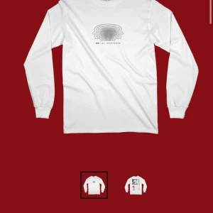 Louis Tomlinson merch - En merchtröja från Louis Tomlinsons tour förra året, använd en gång 😊 storlek L och passar superbra som en oversized tröja för mindre storlekar
