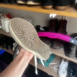 Vita corvorse  - Convorse 