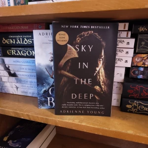 Sky in the deep + The Girl The Sea Gave Back - Bok 1&2 skriven av Adrienne Young. Böckerna är i nyskick. 
