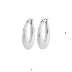 Edblad örhängen  - Fina silver ringar från Edblad i bra skick. Passar till allt och är så snygga💕