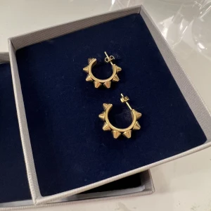 Edblad örhängen - Säljer mina örhängen från Edblad. Kommer inte till användning❤️ Ord. Pris 399kr 