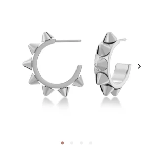 Edblad örhängen - Populära Edblad örhängen i mycket fint skick!🥰