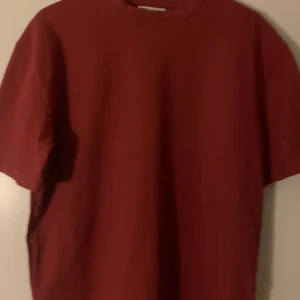 T-shirt från Volt - T-shirt ”These Glory Days” från Volt Strl S Vinröd