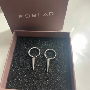 Edblad örhängen  - Super fina örhängen från Edblad!💕