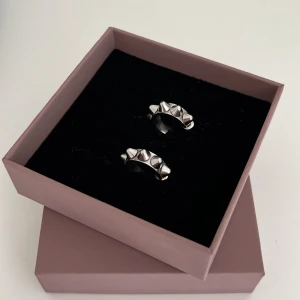 Edblad örhängen - Fina slivriga nitörhängen från edblad🥰