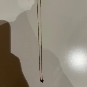 Edbald guld halsband  - Säljer detta halsband från Edblad med ett hjärta på❤️ det finns bara en storlek på den🫶🏻