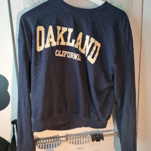 Tröja  - Tröja från h och m. Använd sparsamt då det inte är min stil. Är i storlek L men passar till den som har storlek s/m 