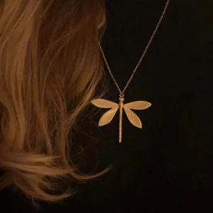 Trollslända halsband  - Trollslända halsband  Längden på kedjan bestämmer man själv  Finns inte i silver. Betalning sker via swish