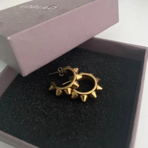 Edblad örhängen  - Edblad guld örhängen med nitar som jag knappt använt. Nyskick