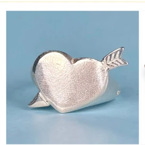 L8hasselblad ring - Säljer denna populära ringen från L8hasselblad. Bra skick, orginal pris 850kr.