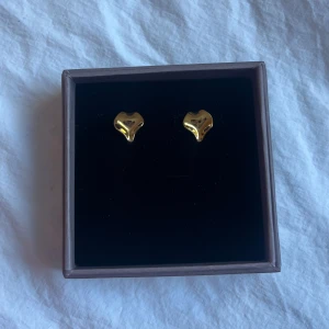 Örhängen  - Så söta örhängen från Edblad! Helt oanvända💗äkta guld platering