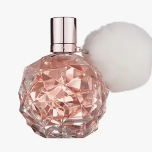 Ariana Grande parfym luktar super gott! Köpt från kicks och är oanvänd. Full size orginal pris 795kr💕